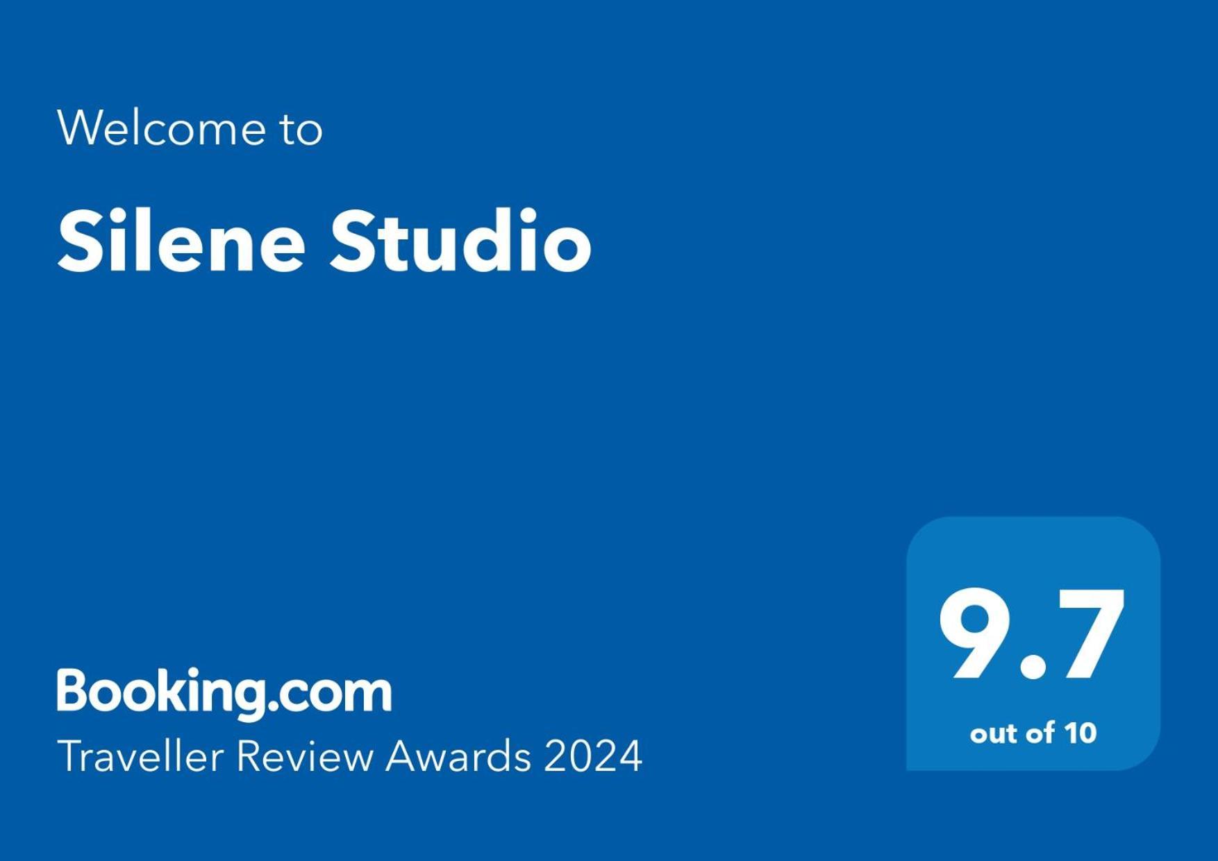 Silene Studio Craiova Exterior photo